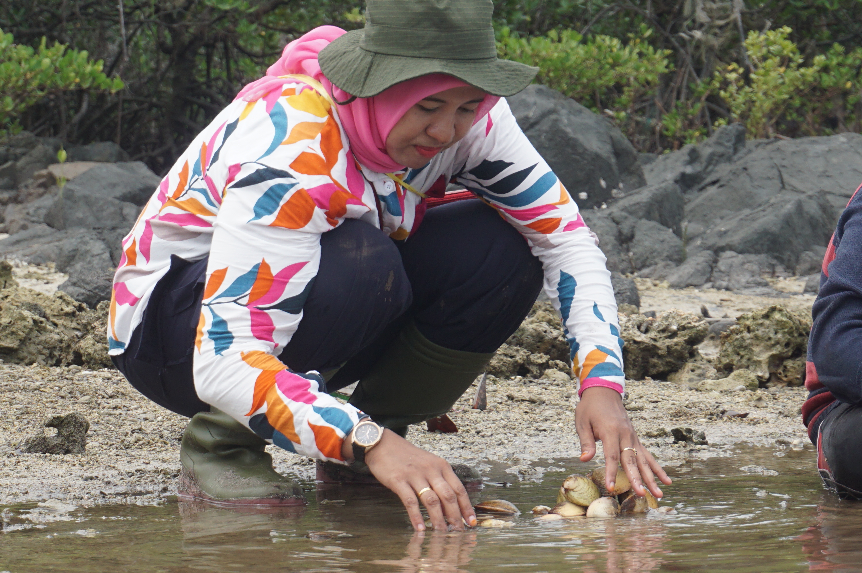 Penyambutan